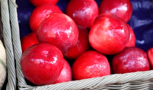 Fruits red delicious photo