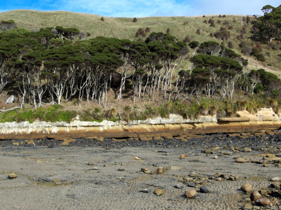 Fossil-Bluff-coast-20150411-002