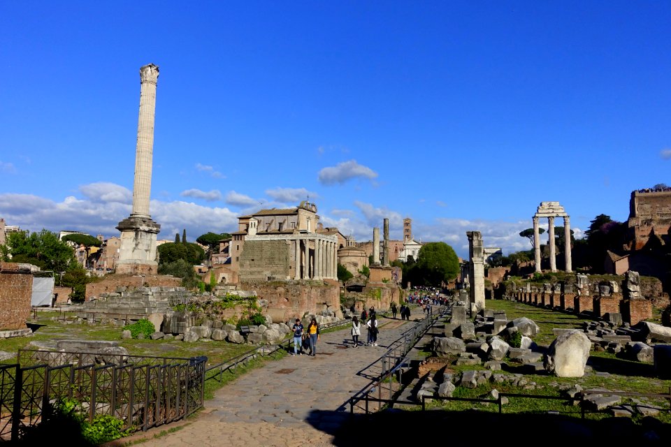 Forum Romanum - Rome, Italy - DSC01591