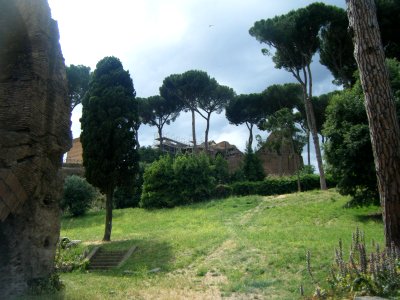 Forum Romanum 20130626 05