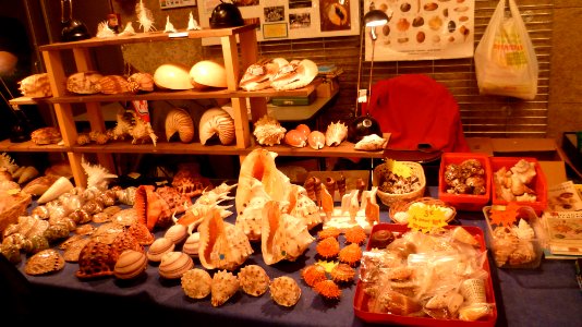 Fossilium 2012 02