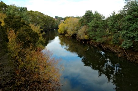 Forth-River-Tasmania-20070420-001