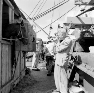 Fotograaf Fischer fotografeert de aankomst van de paarden voor de koninklijke ca, Bestanddeelnr 252-2727