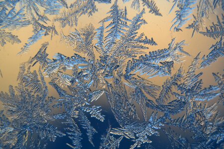 Frosty frozen macro photo