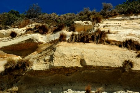 Fossil-Bluff-20070423-033
