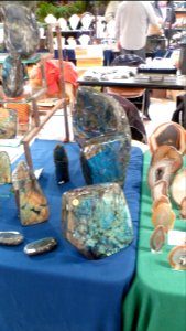 Fossilium 2012 27