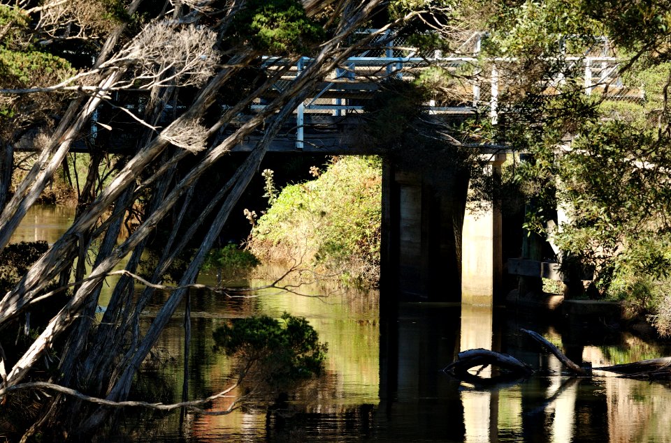 Forth-Rd-Don-River-Bridge-20070318-001