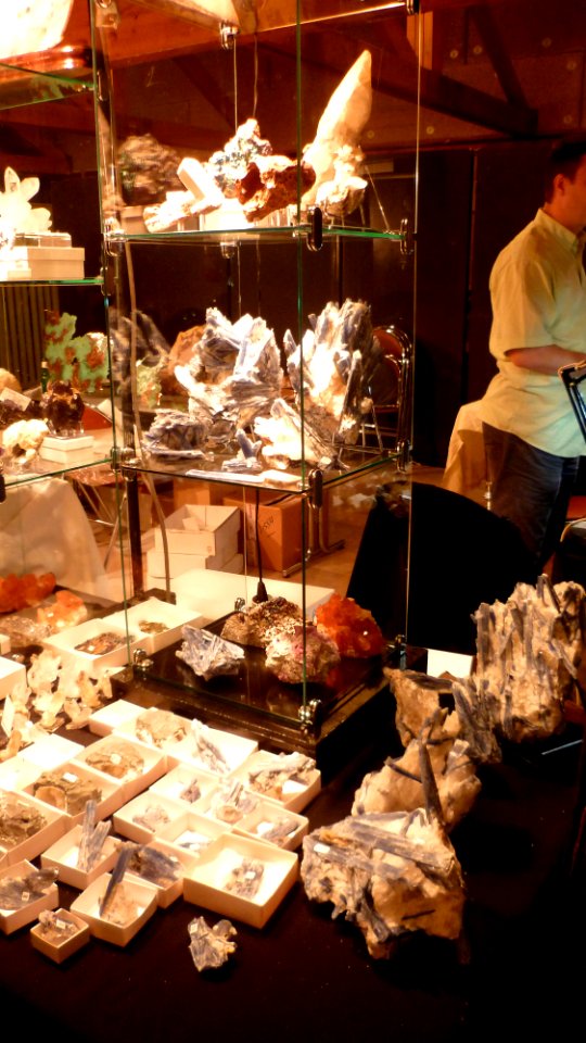 Fossilium 2012 09