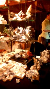 Fossilium 2012 09