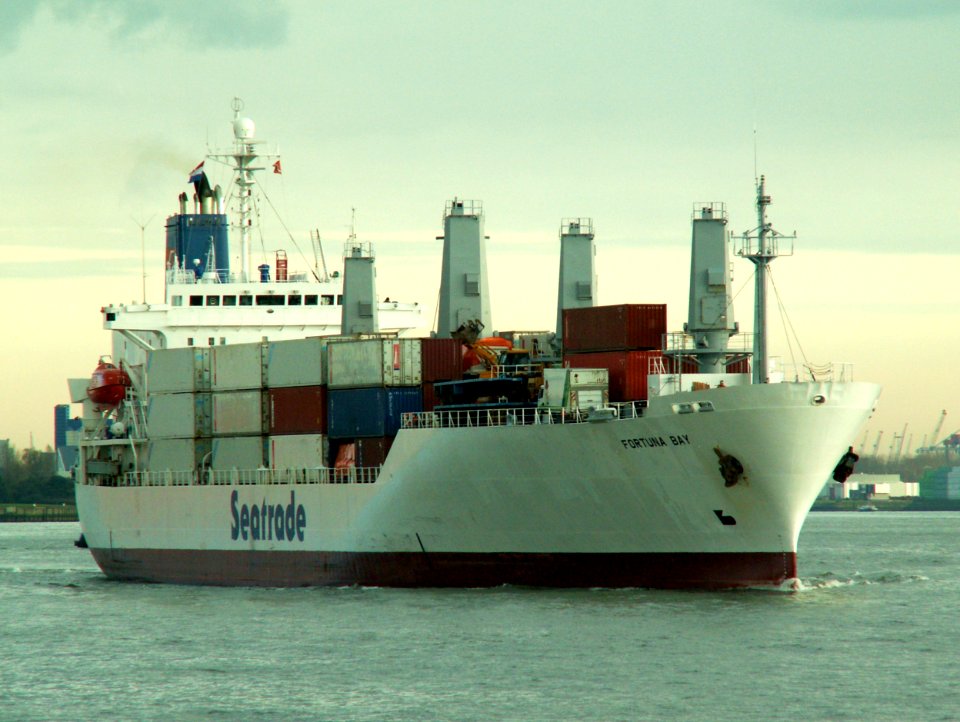 Fortuna Bay IMO 9067128