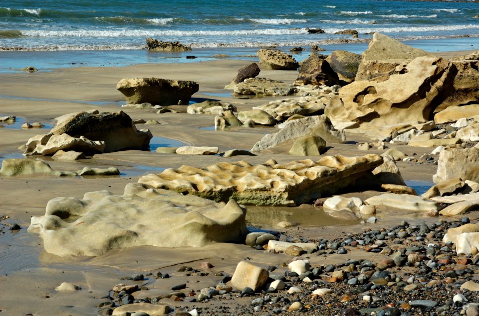 Fossil-Bluff-20070423-035