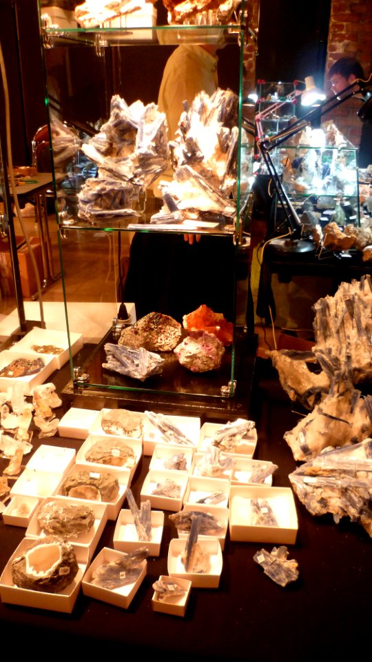 Fossilium 2012 04