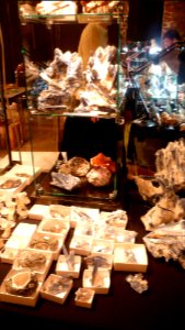 Fossilium 2012 04