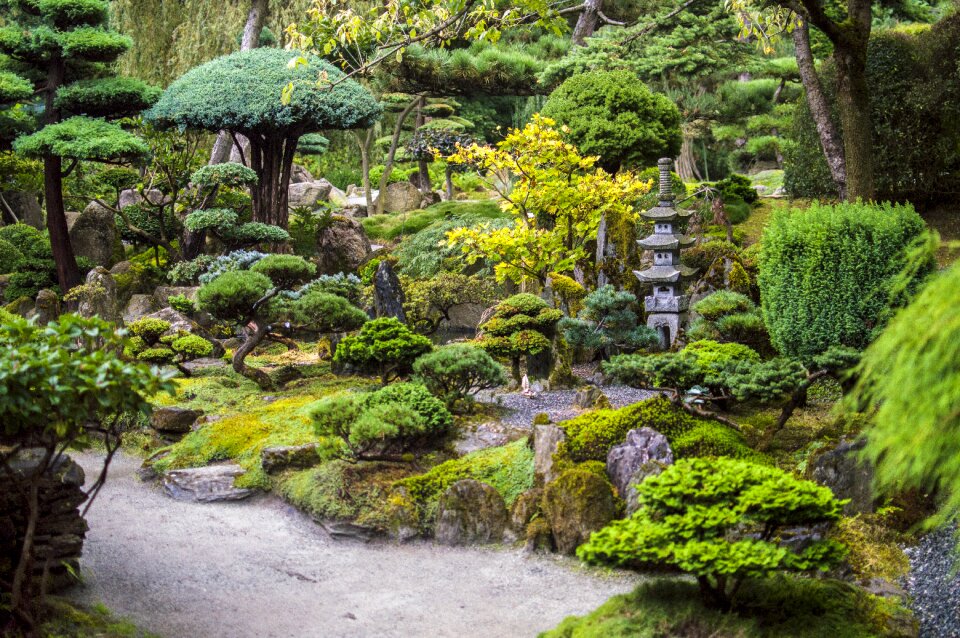 Japanese garden stomečky