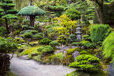Japanese garden stomečky photo