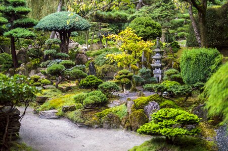 Japanese garden stomečky
