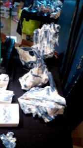 Fossilium 2012 40