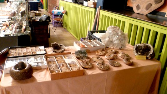 Fossilium 2012 11