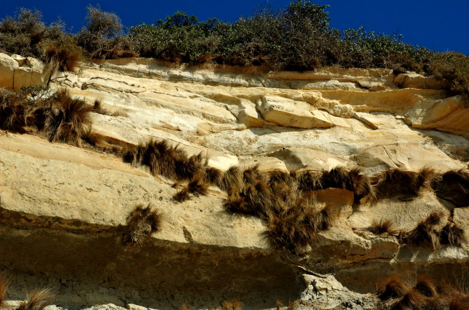 Fossil-Bluff-20070423-034