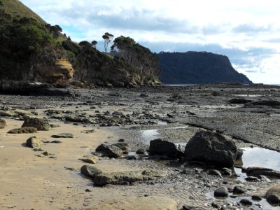 Fossil-Bluff-beach-20150411-001