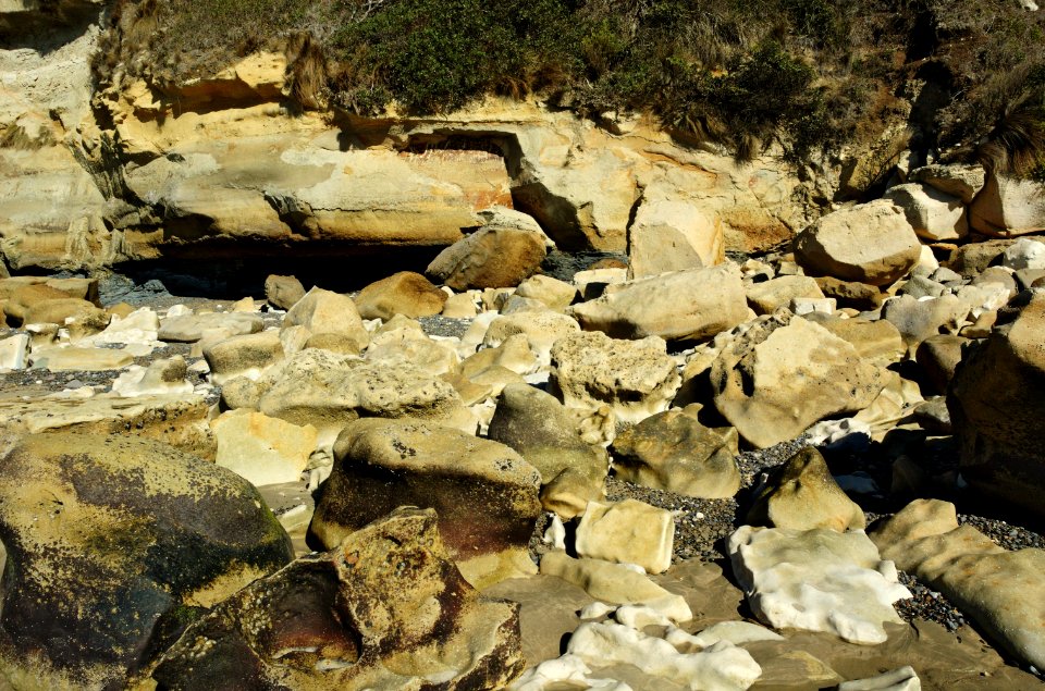 Fossil-Bluff-20070423-031