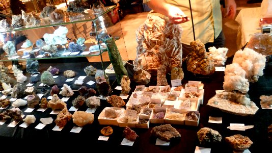 Fossilium 2012 08