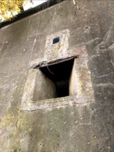 Fort d'Emines lors du centenaire de l'armistice le 11 novembre 2018 photo 32