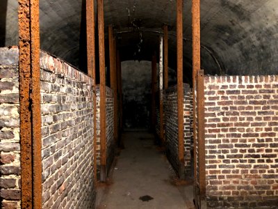 Fort d'Emines lors du centenaire de l'armistice le 11 novembre 2018 photo 21