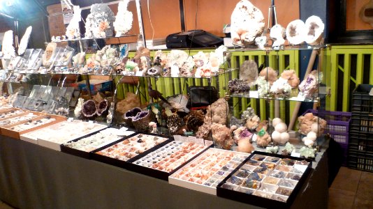 Fossilium 2012 12