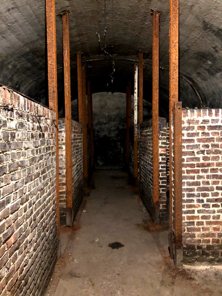 Fort d'Emines lors du centenaire de l'armistice le 11 novembre 2018 photo 20