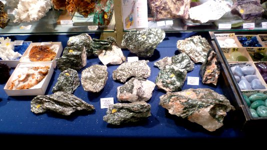 Fossilium 2012 14