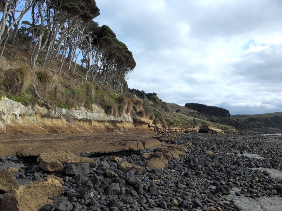 Fossil-Bluff-coast-20150411-005