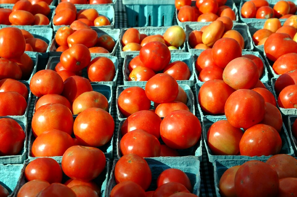 Tasty red food photo