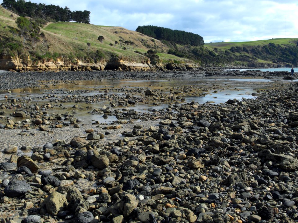 Fossil-Bluff-fish-trap-20150411-003