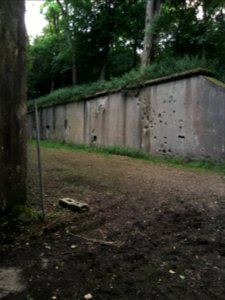 Fort d'Emines en juillet 2016 18