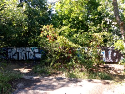 Fort de Loyasse - Chemin de ronde - Mur 02