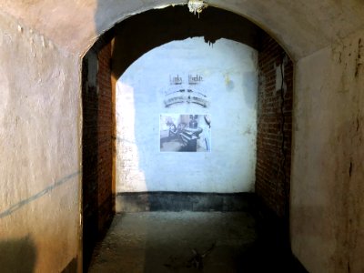 Fort d'Emines lors du centenaire de l'armistice le 11 novembre 2018 photo 24