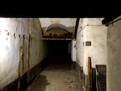 Fort d'Emines lors du centenaire de l'armistice le 11 novembre 2018 photo 18