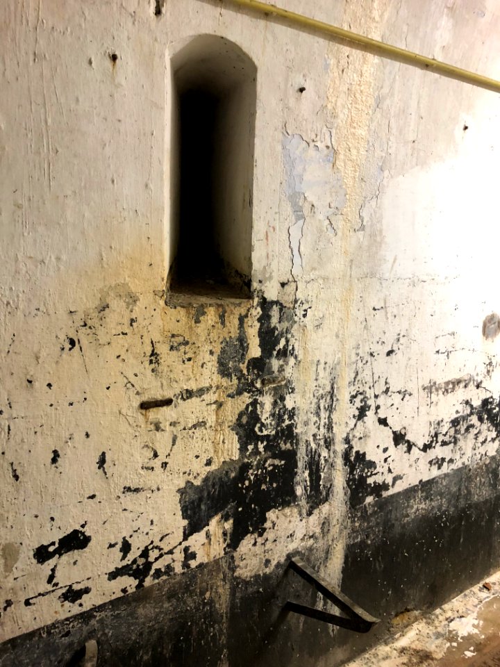 Fort d'Emines lors du centenaire de l'armistice le 11 novembre 2018 photo 17