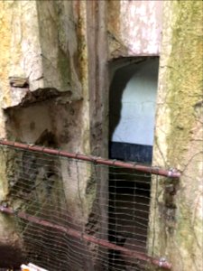 Fort d'Emines lors du centenaire de l'armistice le 11 novembre 2018 photo 28