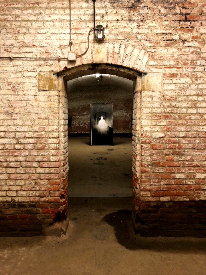 Fort d'Emines lors du centenaire de l'armistice le 11 novembre 2018 photo 19