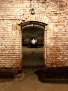 Fort d'Emines lors du centenaire de l'armistice le 11 novembre 2018 photo 19