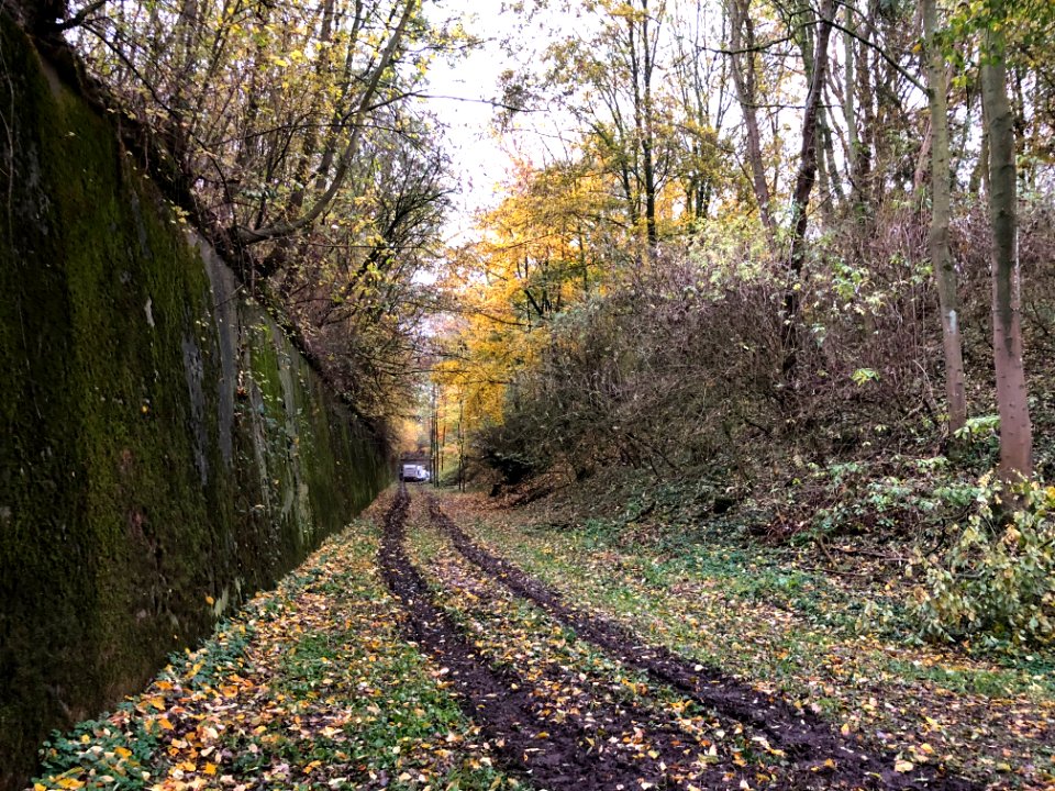 Fort d'Emines lors du centenaire de l'armistice le 11 novembre 2018 photo 30