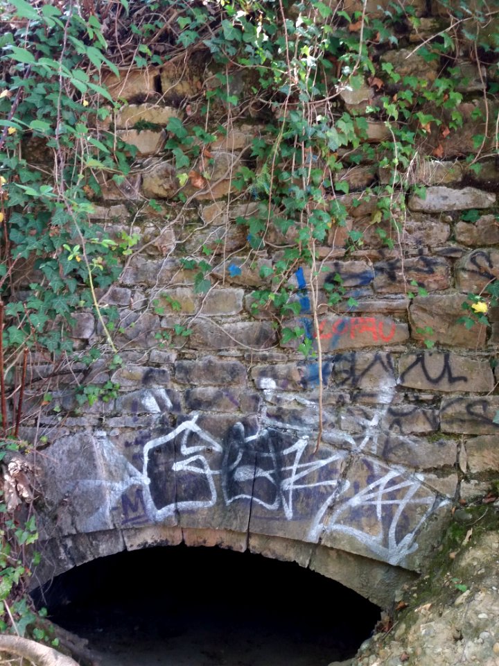 Fort de Loyasse - Bâtiment nord - Entrée comblée