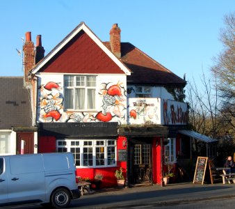 Fox on the Downs pub, 291 Elm Grove, Brighton (February 2020) (1)