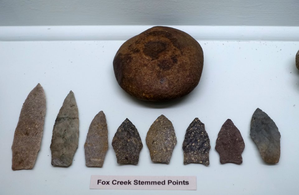 Fox Creek stemmed points - Middle Woodland collection - Robbins Museum - Middleborough, Massachusetts - DSC03839