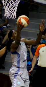 Fowles basket-20170914
