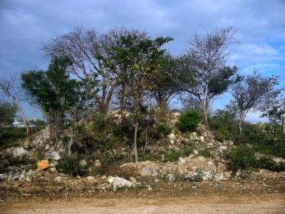 Fraccionamiento Villa Magna del Sur, Mérida, Yucatán (02)