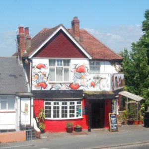 Fox on the Downs pub, 291 Elm Grove, Brighton (May 2020) (1)