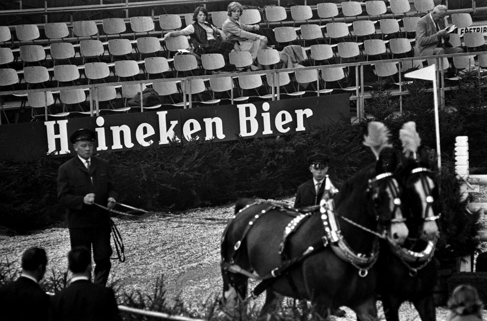 Fraai uitgedost span paarden, Bestanddeelnr 918-3658